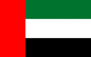 Dubai Flag